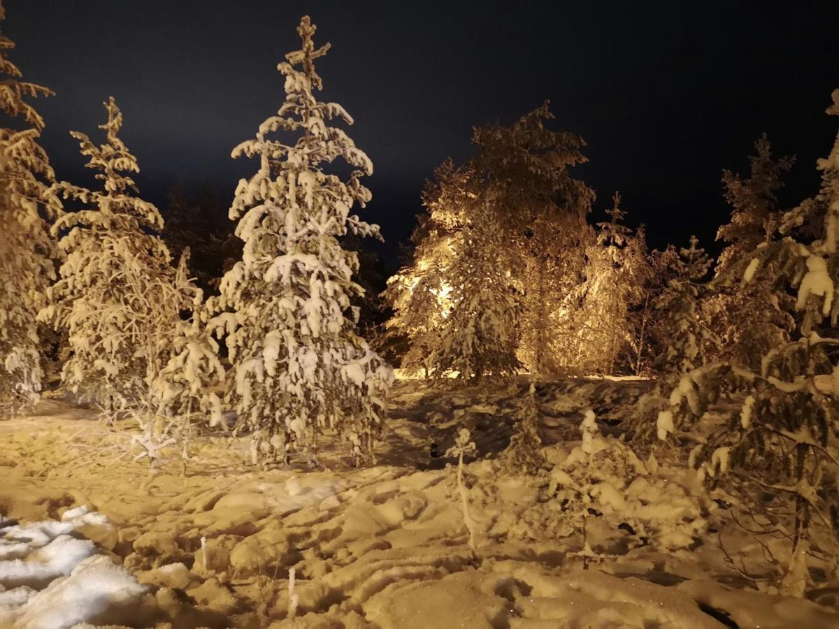 Cosy, Homely House With A Large Courtyard Saarenkylä المظهر الخارجي الصورة